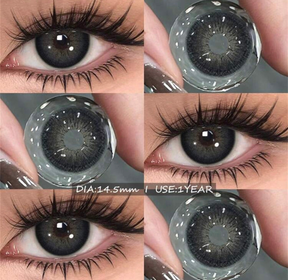 Eyeshare Alps-Black Yearly Contact Lenses- One year