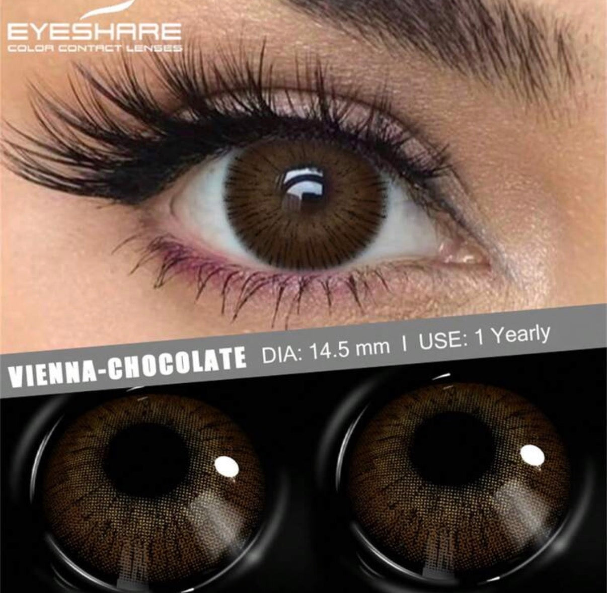 Eyeshare Vienna-Chocolate Yearly Contact Lenses